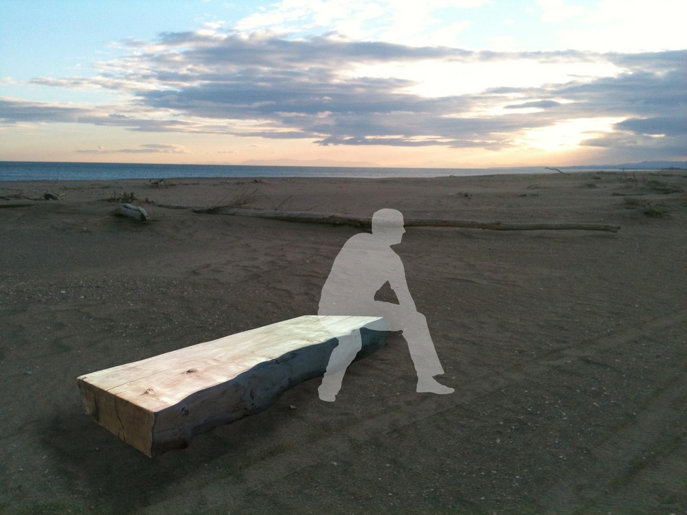 Driftwood benches for sale