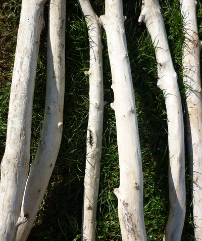 branche de bois flotté branche de bois flott 233 de 1m70 224 2m de 5cm 224 7cm de diam 232 tre branche de bois flotté branche de bois flott 233 de 1m70 224 2m de 5cm 224 7cm de diam 232 tre