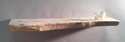 etagere bois flotte